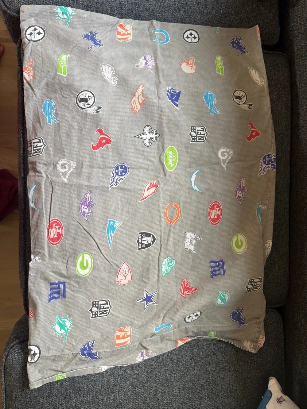 Potter Barn NFL logo Pattern standard pillowcase